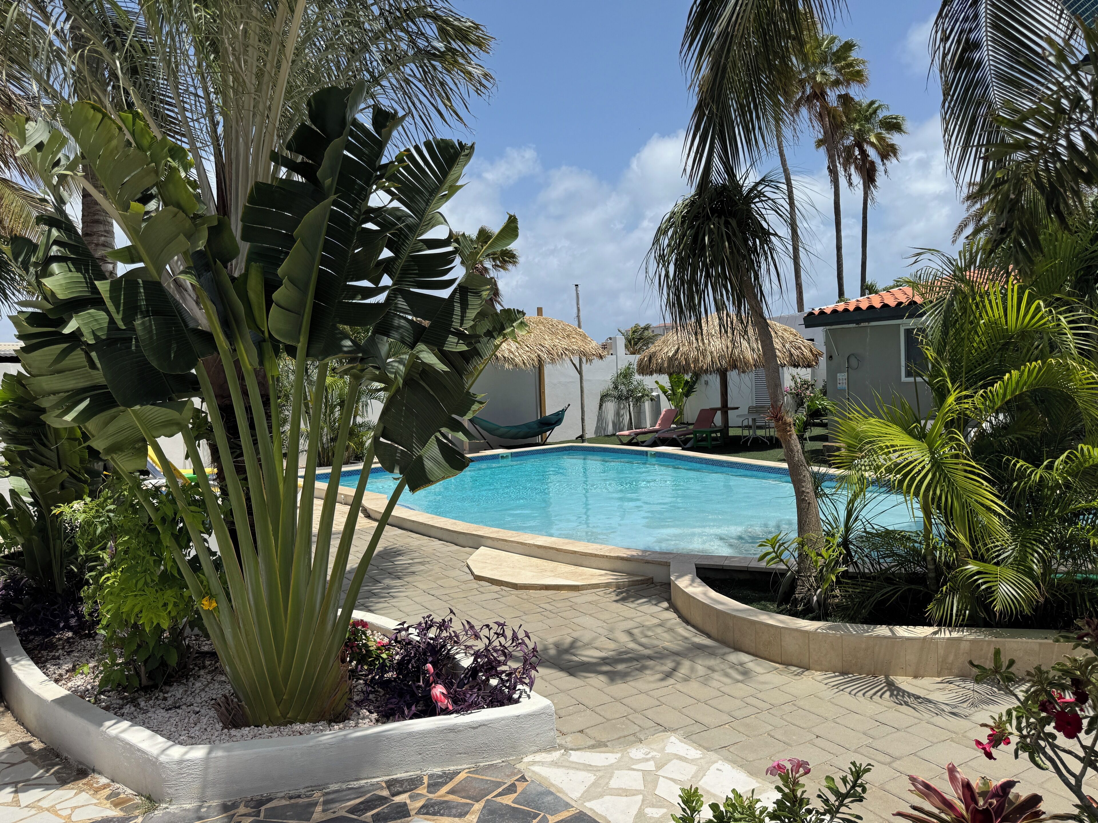 Outdoor pool, pool umbrellas