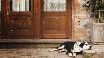 Pet-friendly