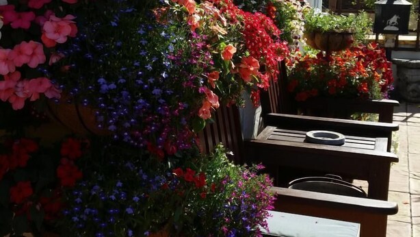 Buiten zitplaatsen met houten banken en bloembakken.