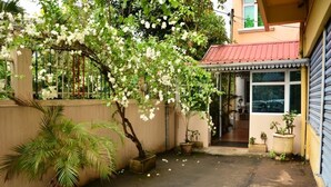A courtyard with a tree, potted plants, and a building entrance. - La Primerose (Quatre Bornes)