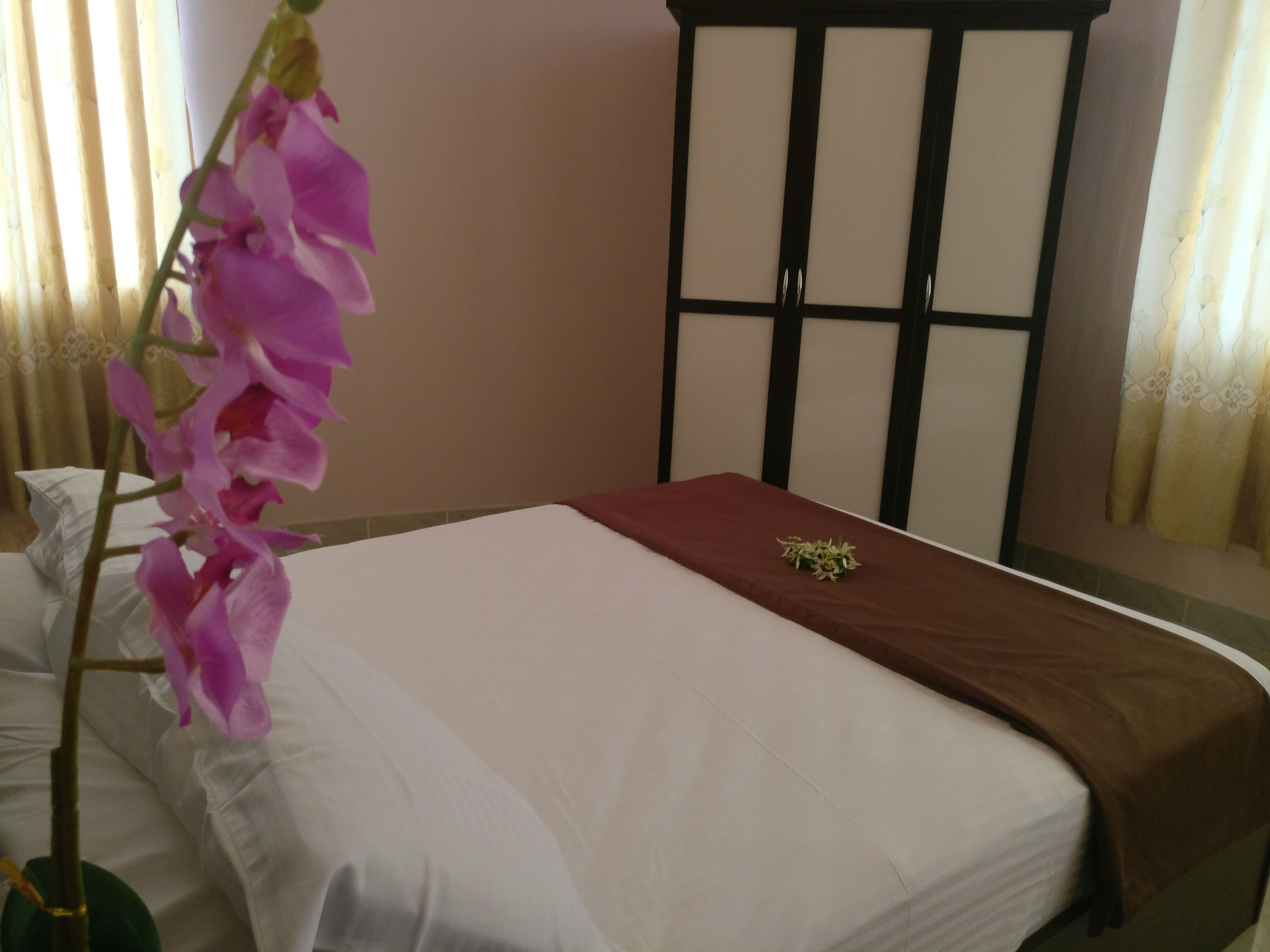 A hotel room with a bed, a brown throw blanket, a small plant, and a window with curtains.