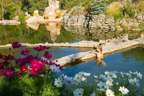 Outdoor pool, a natural pool