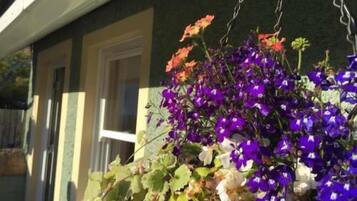 A hanging flower basket with purple and orange flowers.