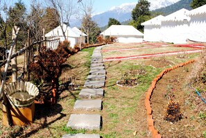 Property grounds - Shivirama (Baijnath)