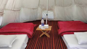Dome Tent | View from room