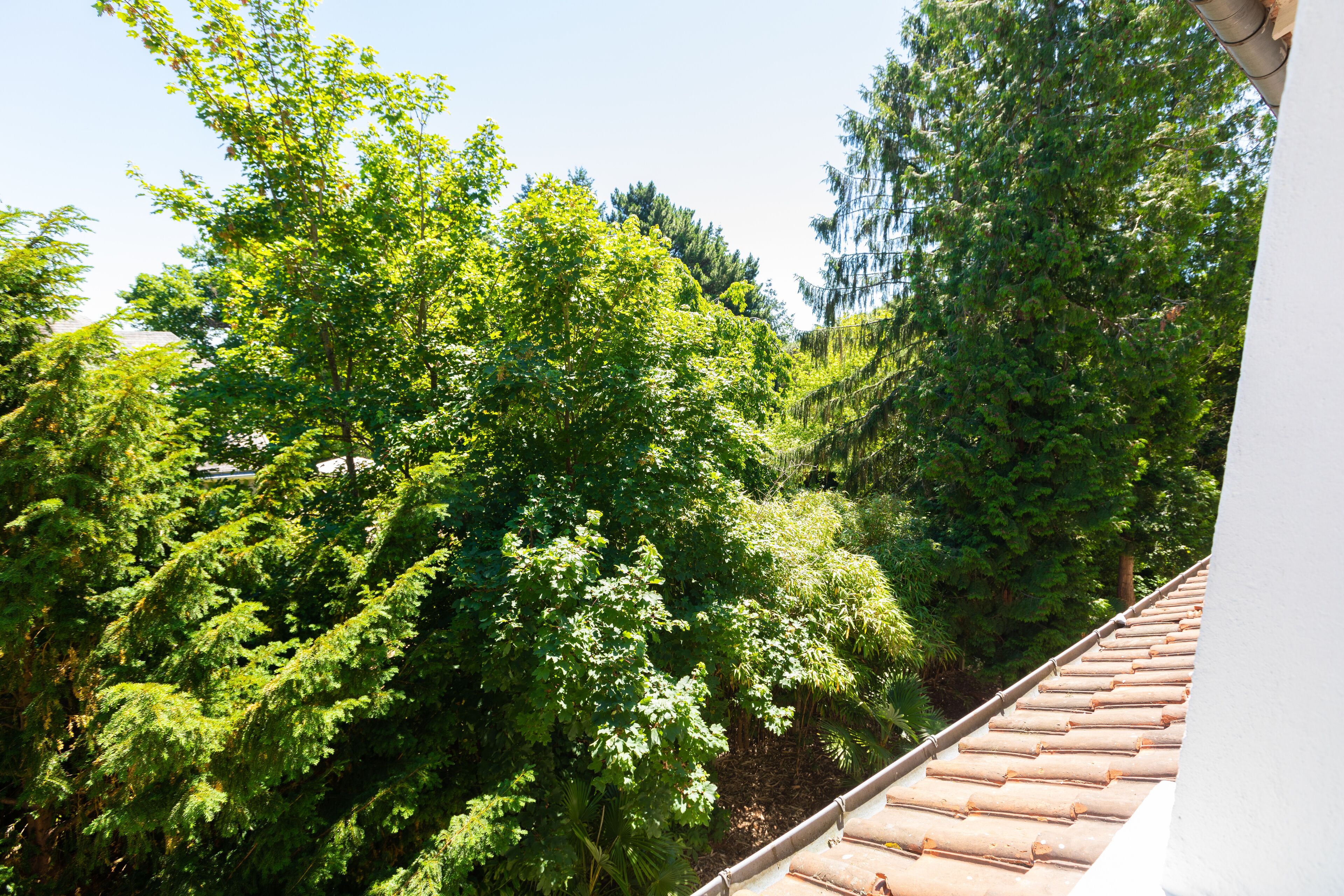 classic single room | individually decorated, individually furnished, desk, laptop workspace