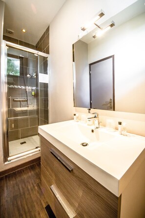 Classic Single Room | Bathroom | Shower, free toiletries, hair dryer, towels - Hôtel de La Pommeraie (Le Mans)