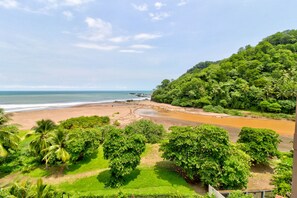 Eine Küstenlandschaft mit Strand, üppiger Vegetation und blauem Himmel.