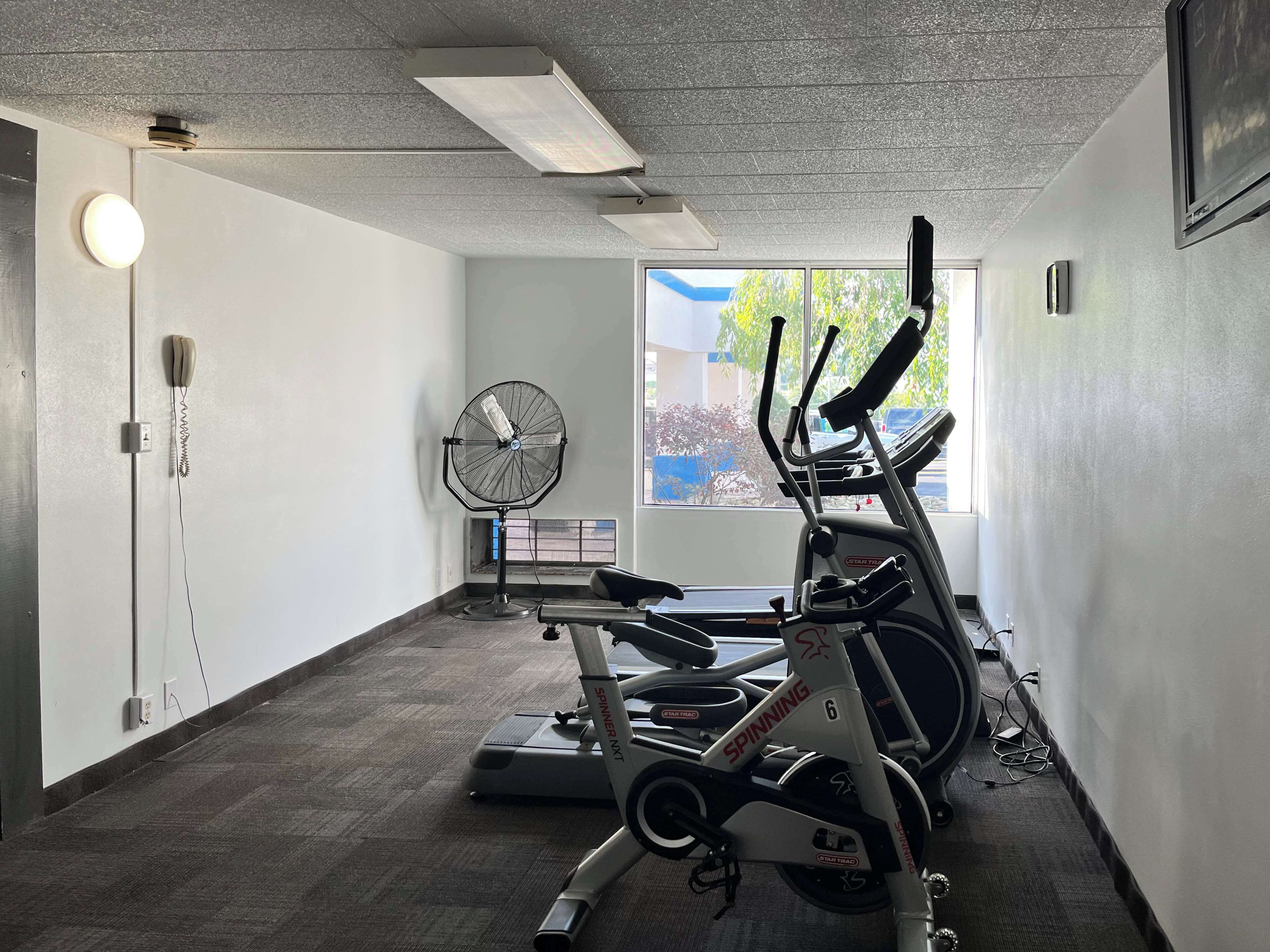 Ett gym med motionscyklar, ett löpband och en fläkt.