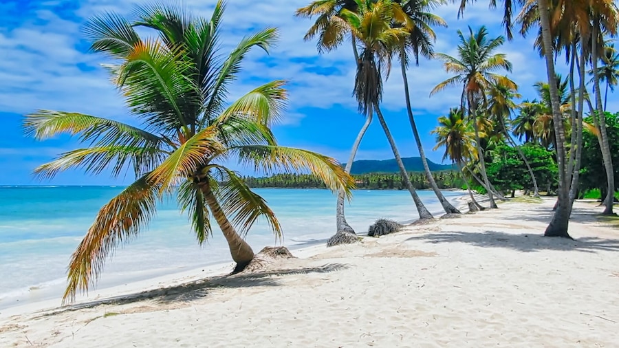 Paradiso del Caribe