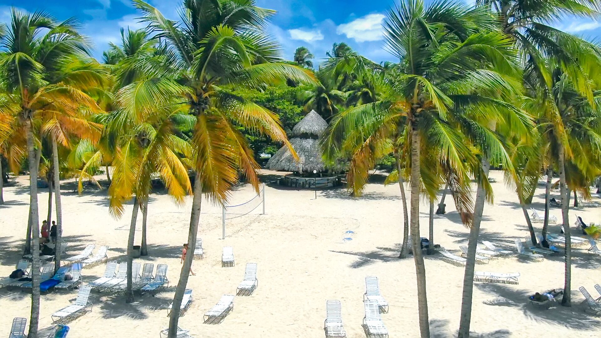 A beach with rows of sun loungers and palm trees, a thatched-roof hut, and a clear blue sky.