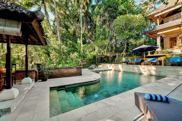 Una piscina al aire libre, sombrillas, sillones reclinables de piscina