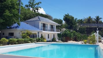 Una piscina con borde de baldosas, una casa con techo azul y follaje circundante.