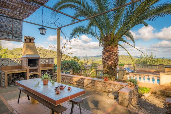 A patio with a stone barbecue, a table with a potted plant, and a large palm tree.
