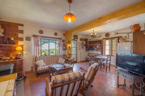 TV, fireplace, books, stereo