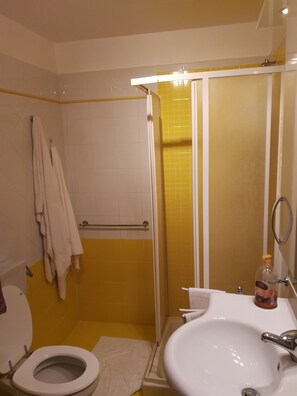 Regadera, secadora de cabello, bidet, toallas 