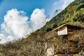 Una cabaña de madera con un ventanal pequeño, rodeada de follaje denso y un cielo despejado.