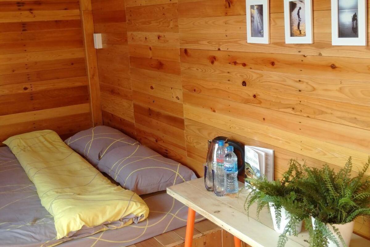 A wooden cabin room with a bed, a small table with a water bottle and a plant, and three framed pictures on the wall.