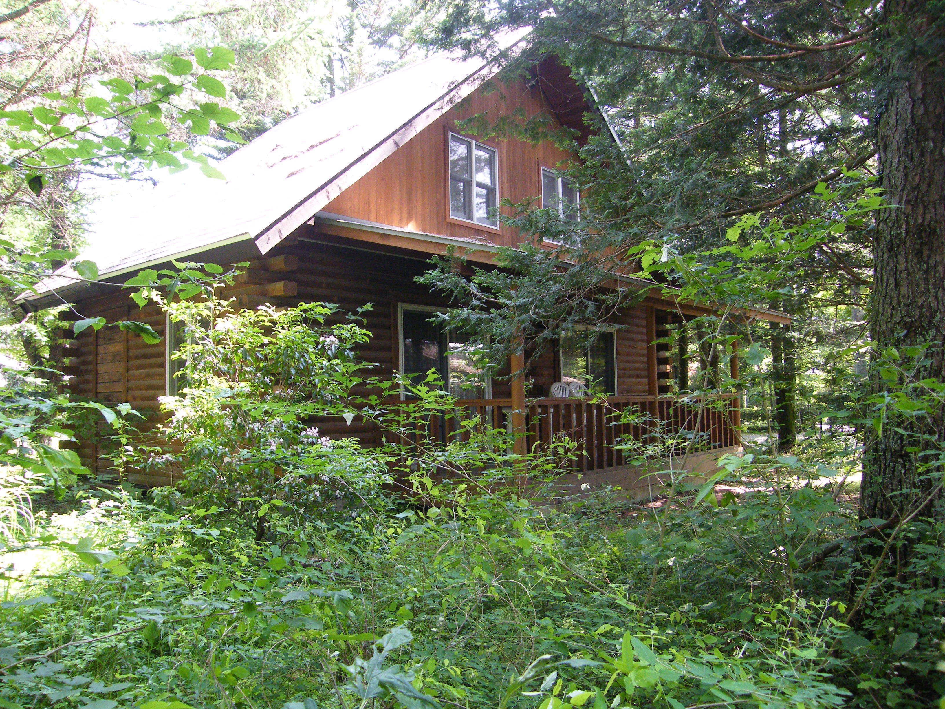 A log cabin surrounded by dense forest.