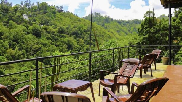 Una terraza con sillas y mesas de madera, con vistas a un paisaje verde exuberante.