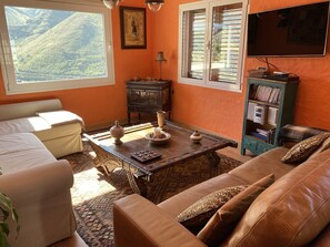 TV, fireplace, DVD player, books