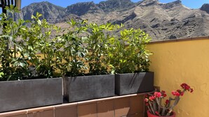 Un jardin sur le toit, avec des plantes en pot et un panneau solaire.