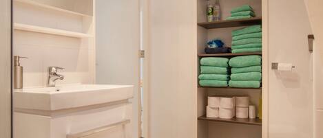 Shower, hair dryer, towels
