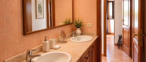 A bathroom with two sinks, a large mirror, and a potted plant.