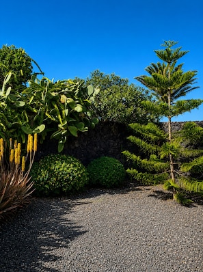 Un jardin avec différentes espèces de plantes, un chemin de gravier et un mur en pierre.