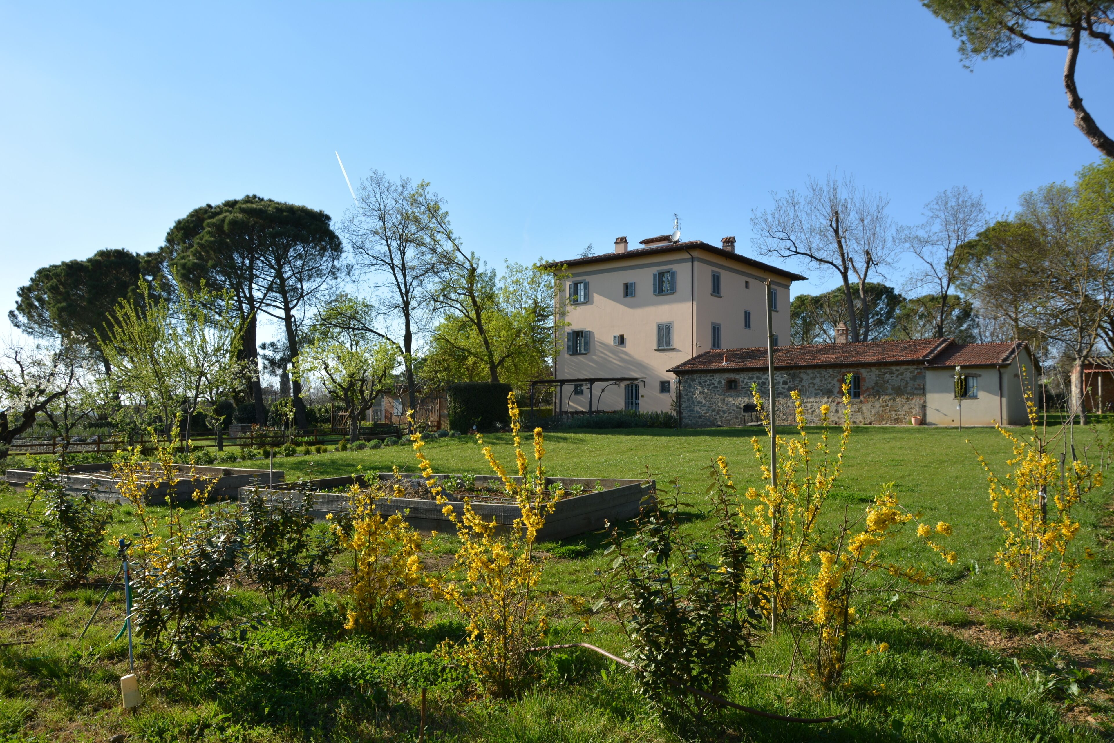 Parco della struttura