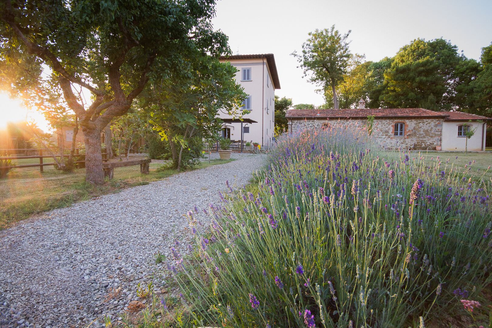 Parco della struttura