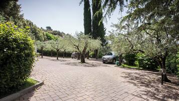 A paved pathway lined with trees and a parked car.