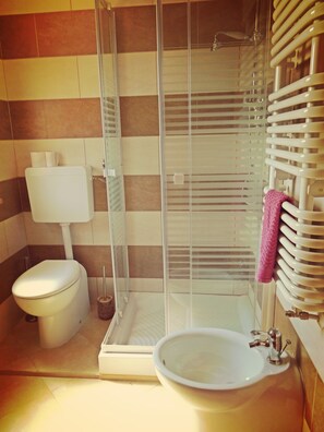 Habitación doble | Baño | Ducha, secador de pelo, bidé y toallas