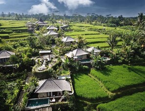 A resort with multiple bungalow-style buildings surrounded by lush green rice paddies and palm trees.