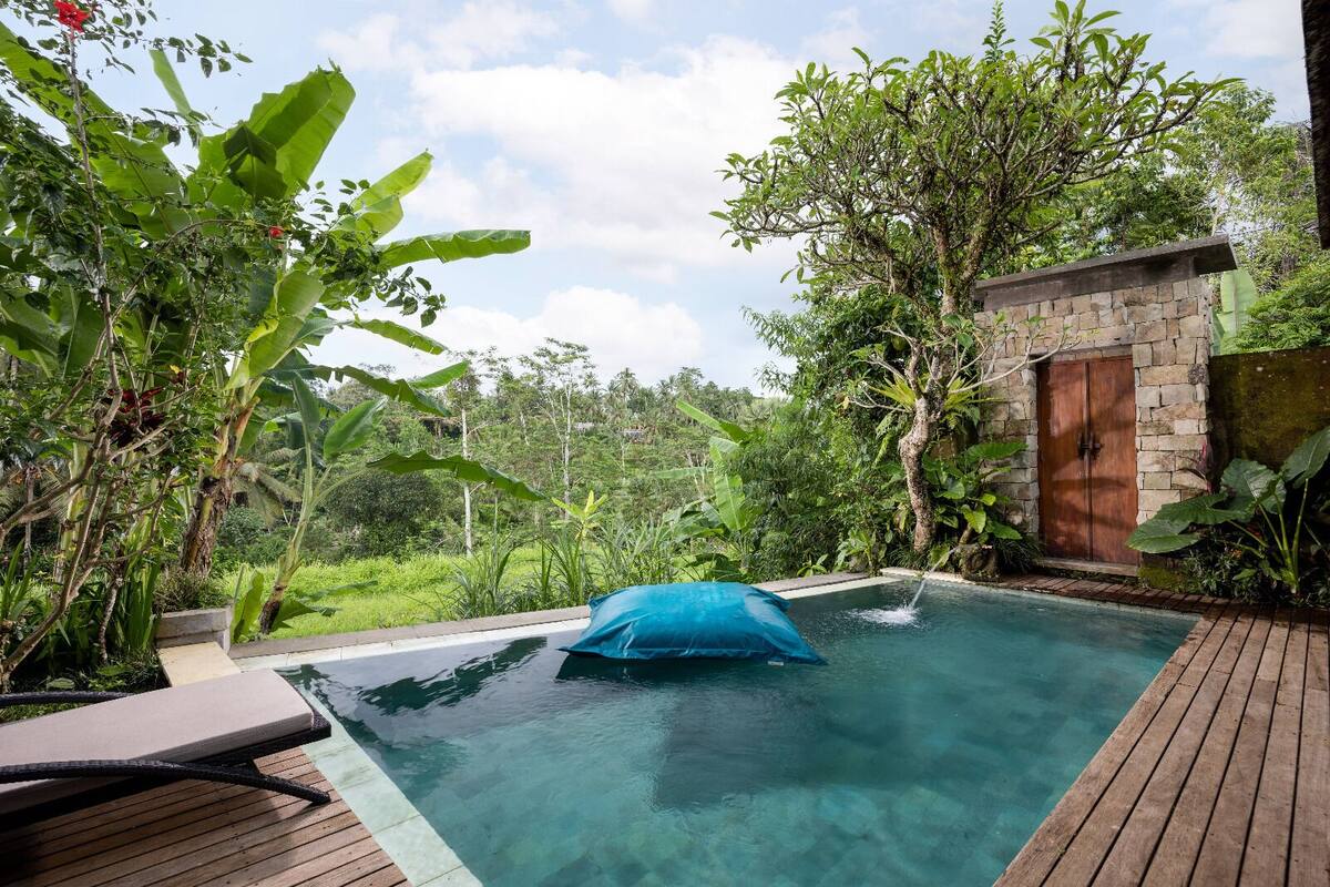 A pool with a blue cover, surrounded by lush greenery and a stone wall with a wooden door.