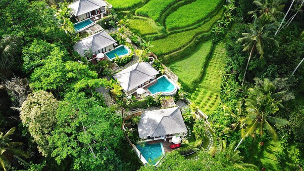 A resort with multiple pools, lush green terraced fields, and traditional-style buildings. - Nau Villa Ubud (Sebatu)