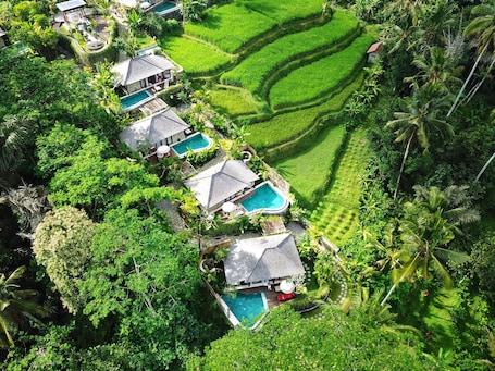 Overnattingsstedets uteområder. Nau Villa Ubud