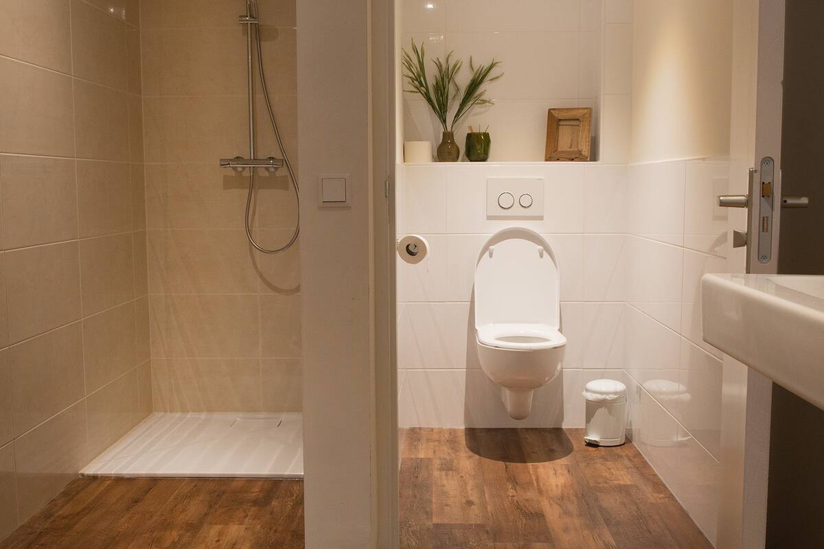 shower, rainfall showerhead, free toiletries, hair dryer