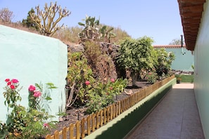 Un sentier bordé d’une clôture en bois, avec un cactus et des plantes à fleurs.