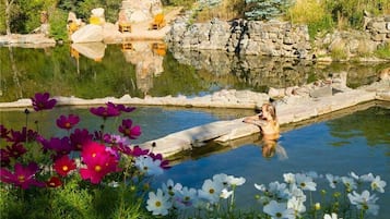 Outdoor pool, a natural pool