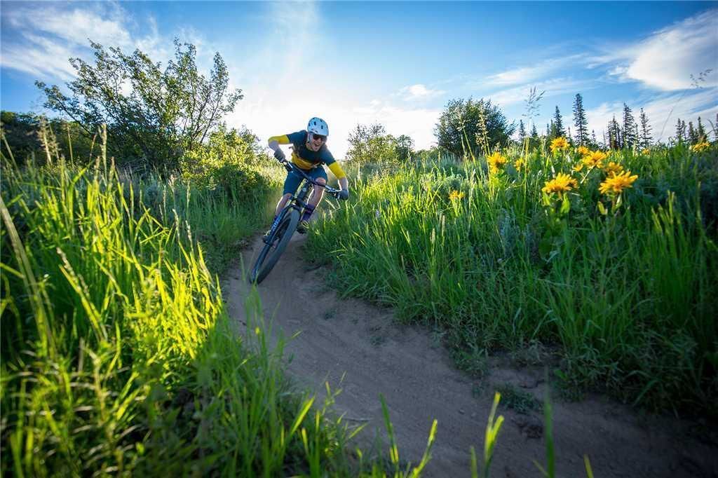 Een persoon fietst op een mountainbike over een zandpad, omringd door hoog gras en bloemen.