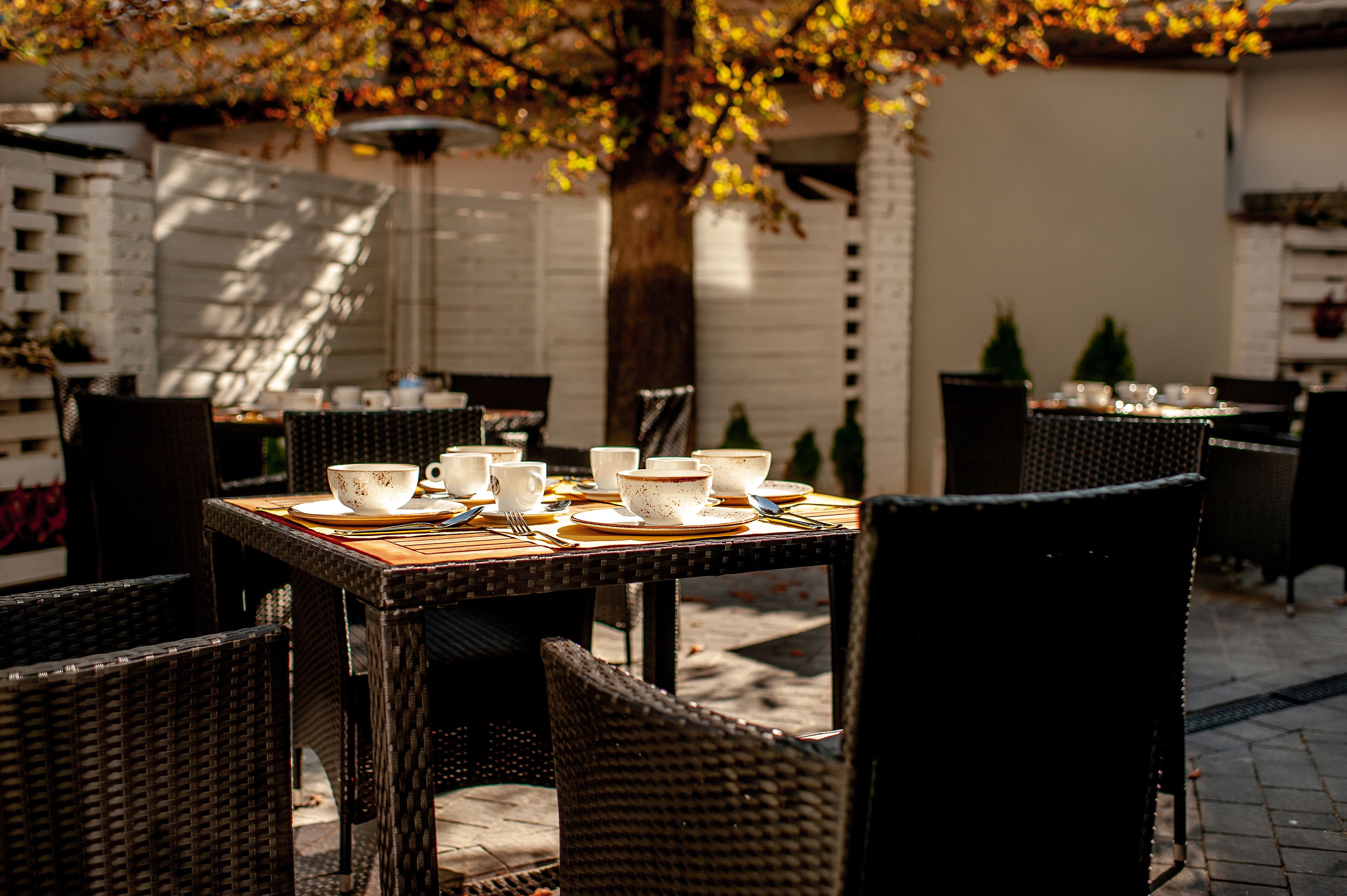 breakfast, lunch, dinner served; international cuisine