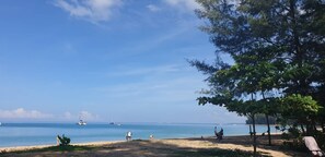 A beach with boats, people, and trees.