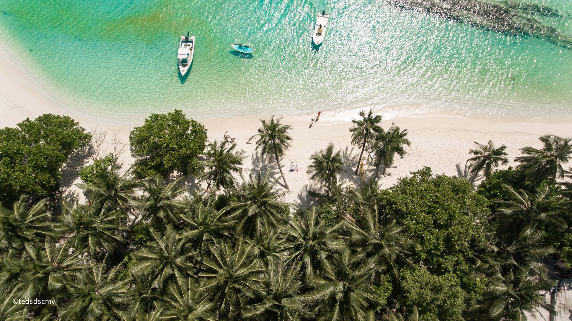 An aerial view of a beach with clear turquoise waters, several boats, and dense palm trees.