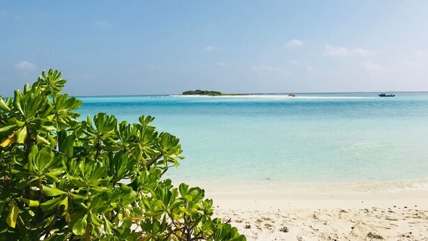 Una playa con agua turquesa cristalina, una orilla de arena y abundante vegetación verde al frente.