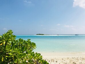A beach with clear turquoise water, a sandy shore, and lush green foliage in the foreground.