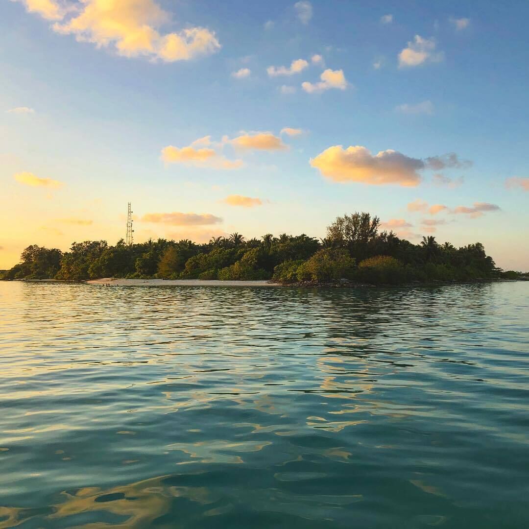 Una masa de agua tranquila con una pequeña isla a lo lejos, rodeada de exuberante vegetación y un cielo despejado.