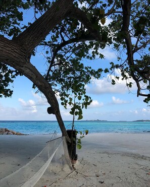 A hammock tied to a tree on a sandy beach with a clear view of the ocean and distant land.