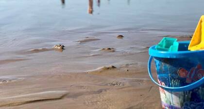 Maison rénovée tout confort - Proche plage, commerces et animations - WIFI inclus