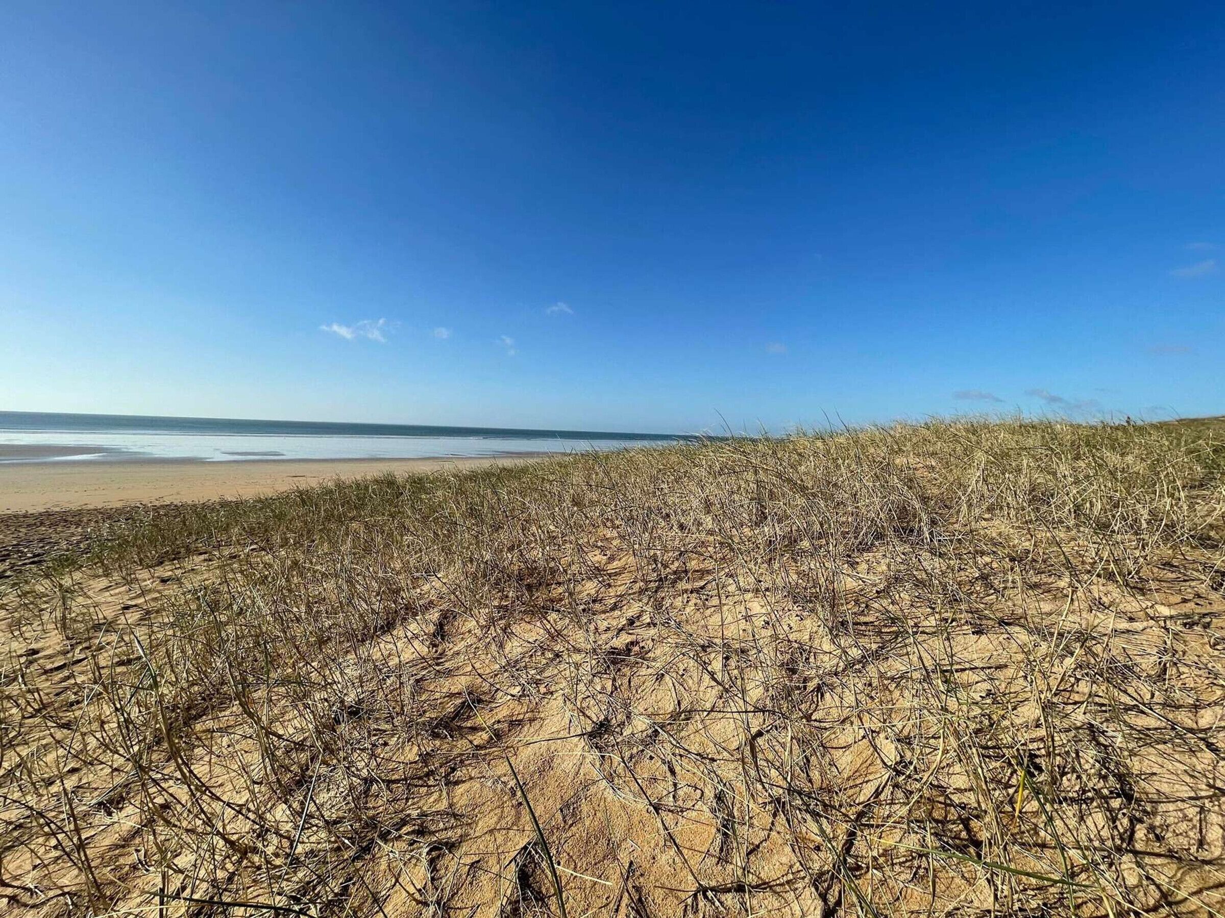 بالقرب من الشاطئ